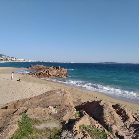 Sainte Rosalie Daire Cannes Dış mekan fotoğraf