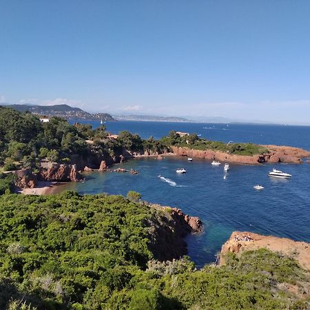 Sainte Rosalie Daire Cannes Dış mekan fotoğraf