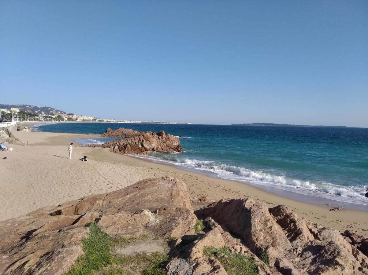 Sainte Rosalie Daire Cannes Dış mekan fotoğraf